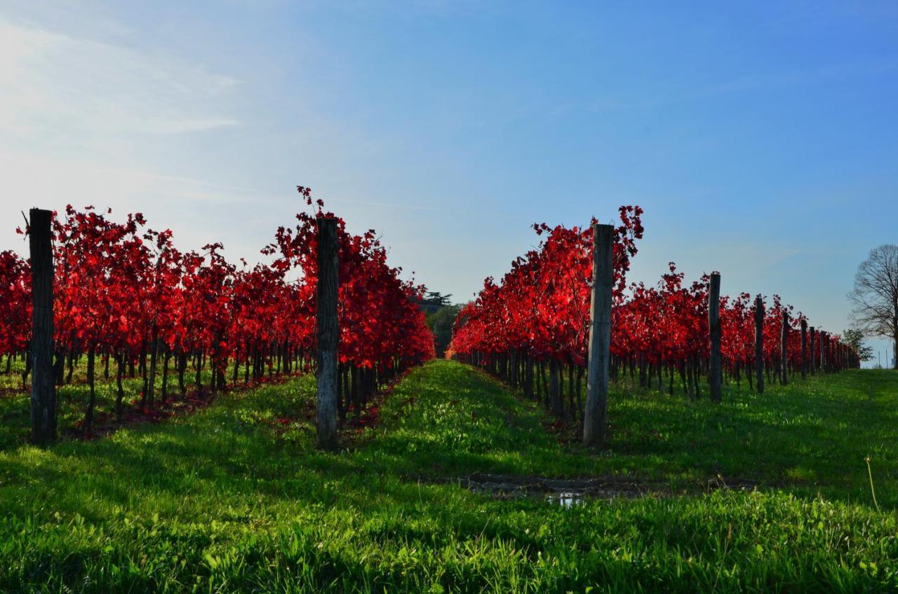 Alloggio Agrituristico CORTE SAN BIAGIO Corno di Rosazzo Esterno foto