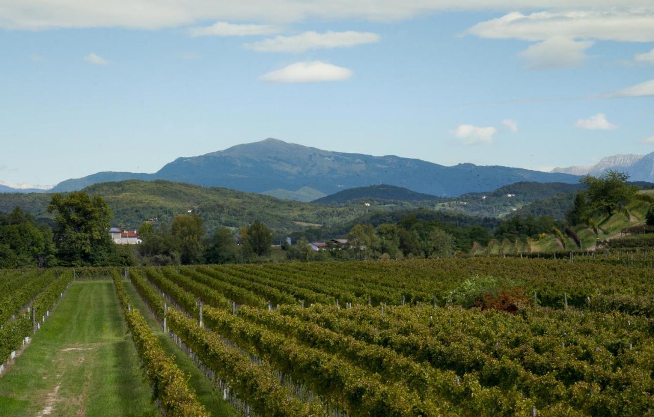 Alloggio Agrituristico CORTE SAN BIAGIO Corno di Rosazzo Esterno foto