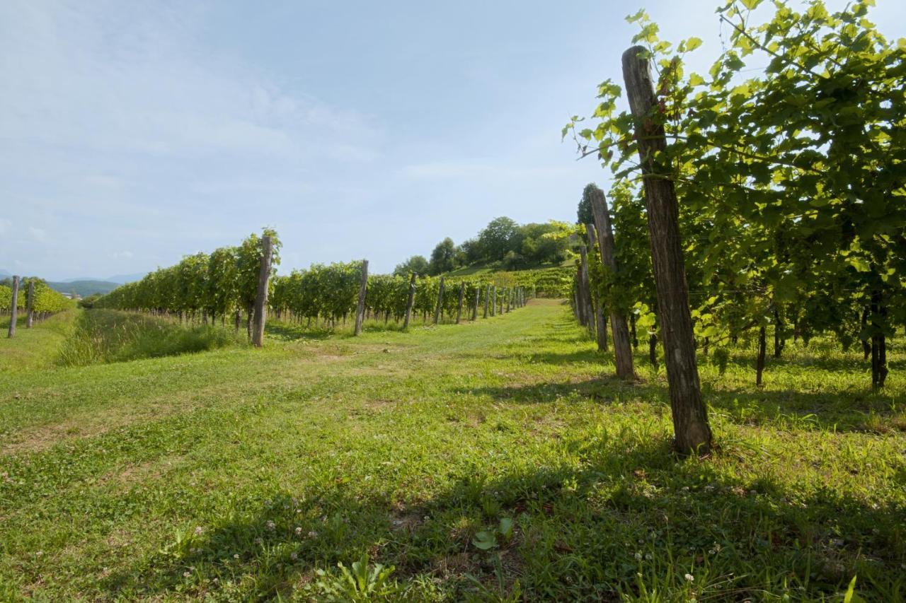 Alloggio Agrituristico CORTE SAN BIAGIO Corno di Rosazzo Esterno foto