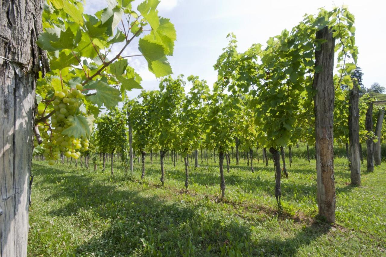 Alloggio Agrituristico CORTE SAN BIAGIO Corno di Rosazzo Esterno foto