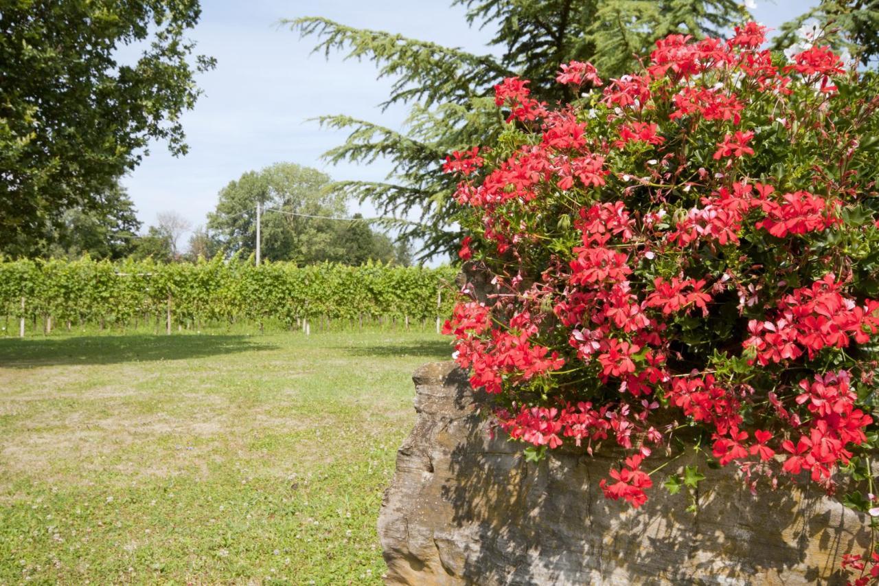 Alloggio Agrituristico CORTE SAN BIAGIO Corno di Rosazzo Esterno foto